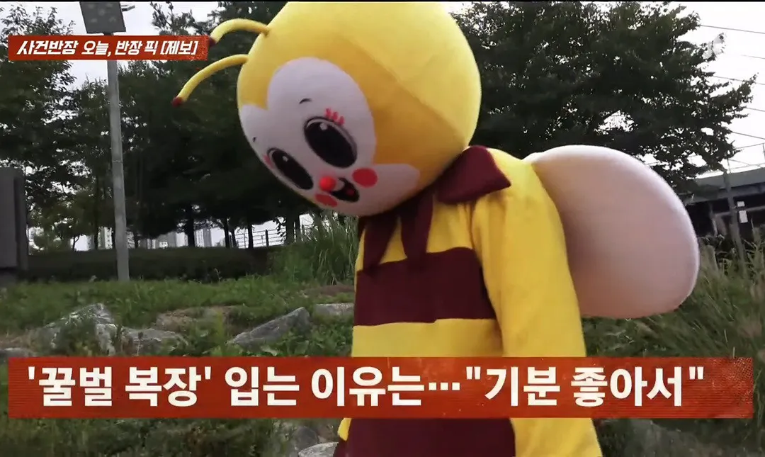 사건반장에 나온 꿀벌 복장 입는 이유 (영상 올렸어) (11/17)