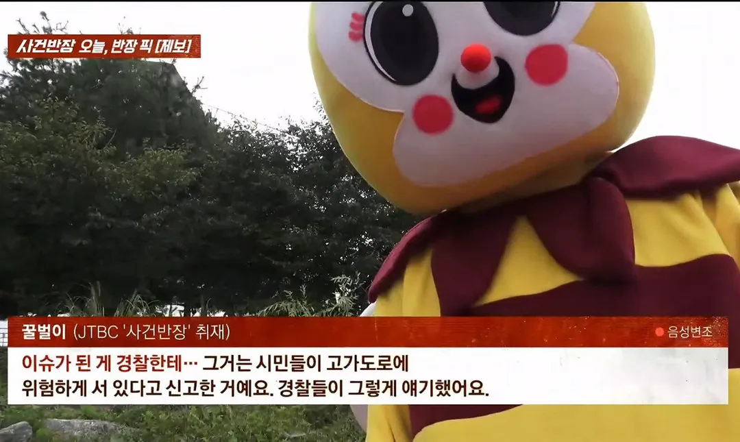 사건반장에 나온 꿀벌 복장 입는 이유 (영상 올렸어) (9/17)