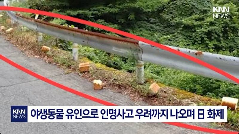 일본에서 난리난 기습 곰맘 시위 (6/7)