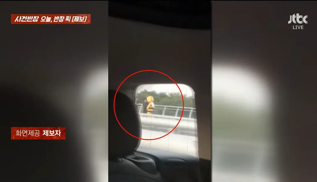 사건반장에 나온 꿀벌 복장 입는 이유 (영상 올렸어) (1/17)