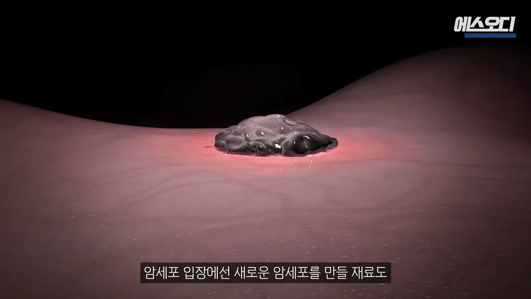 비아그라 항암효과 (8/10)