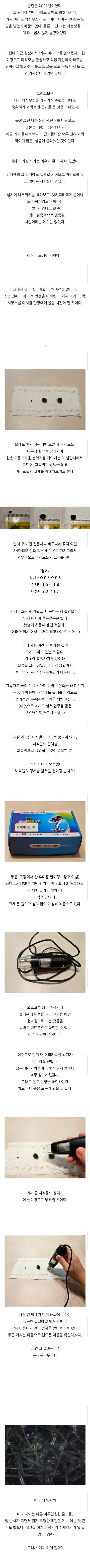 반전)한때 커뮤니티를 뜨겁게 달궜던 반려식물 마리모의 정체.jpg (2/4)