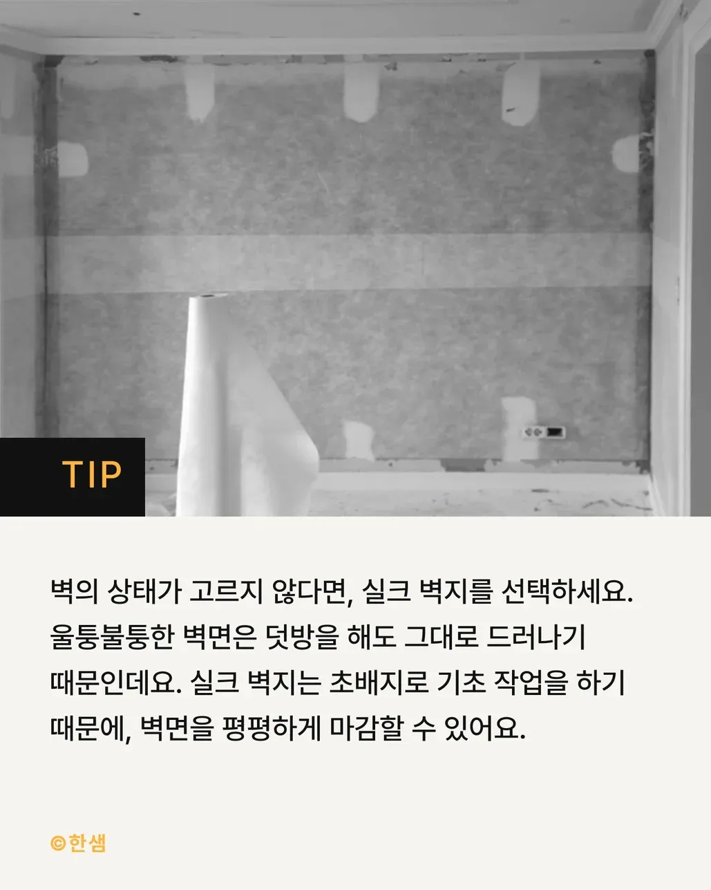 많이 대중화 되었다는 벽지 (5/8)