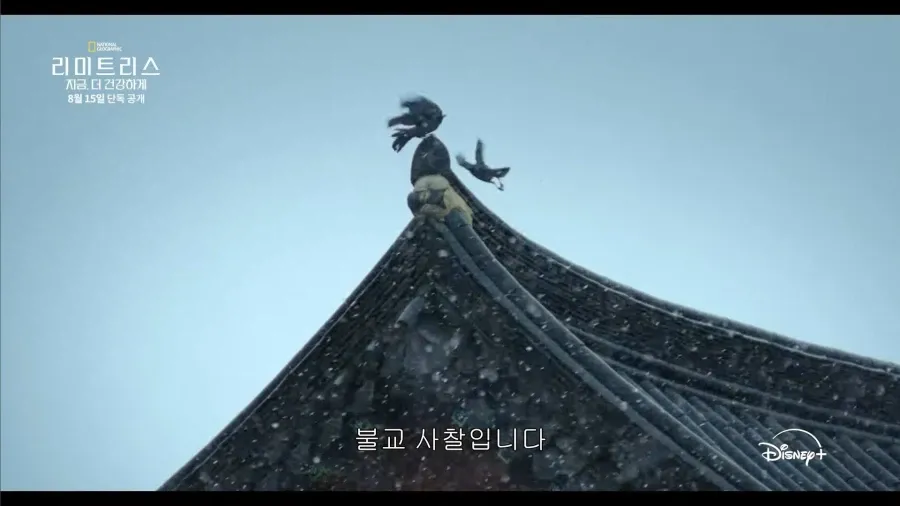 디즈니가 생각하는 한국 불교의 모습 (4/12)