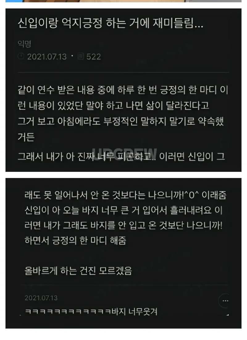 회사 신입이랑 억지긍정 주고받는거에 재미들림