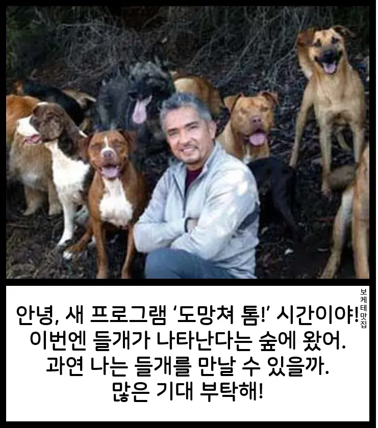 NEW 일본의 제목학원 보케테 모음 81 (17/20)
