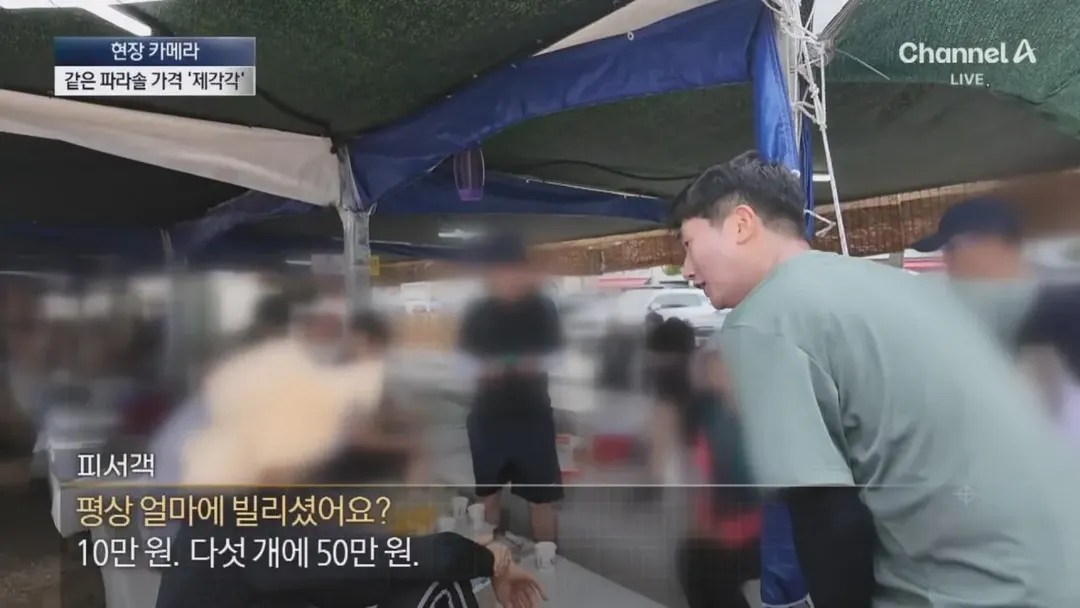 피서지 파라솔 바가지 요금을 취재하러간 채널A (12/20)