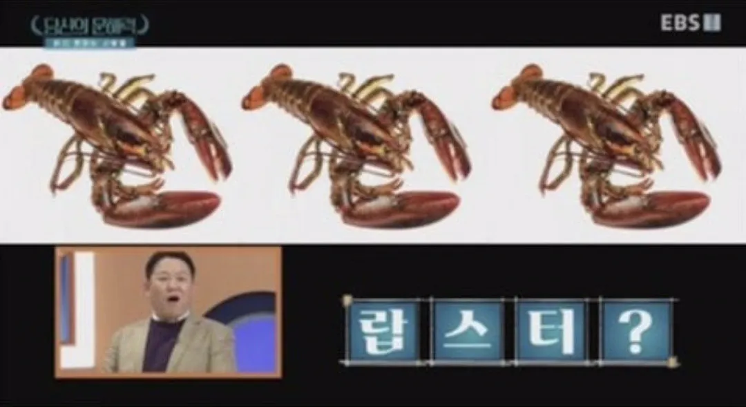 요즘 사람들의 심각한 문해력 수준; + 유퀴즈추가 (15/20)