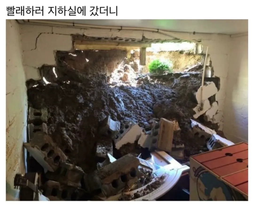 천하제일 망한 집 대회 (5/9)