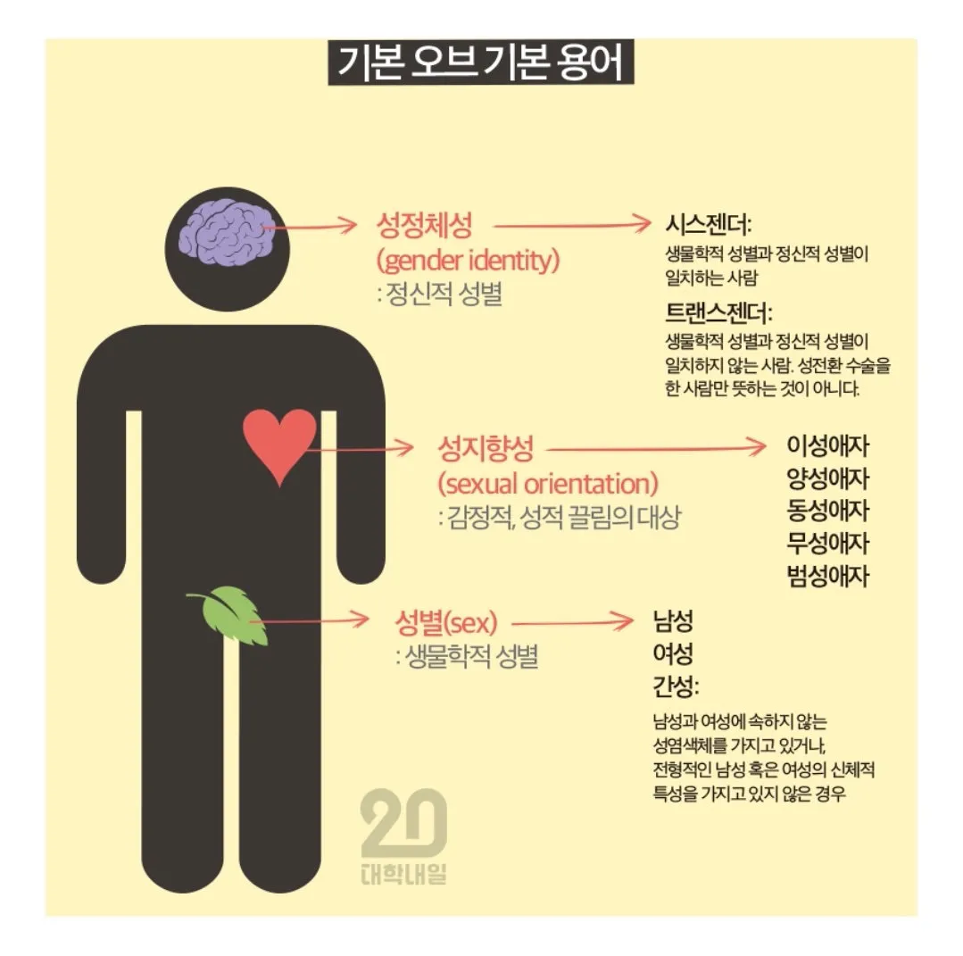 젠더스펙트럼에 대한 용어정리 (1/4)