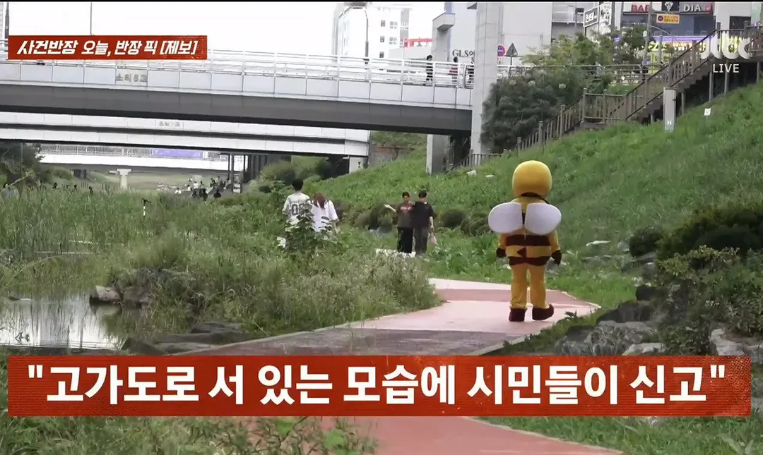 사건반장에 나온 꿀벌 복장 입는 이유 (영상 올렸어) (13/17)
