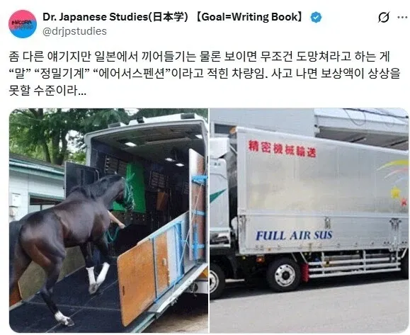 도로에서 외제차보다 조심해야한다는 차 (2/4)