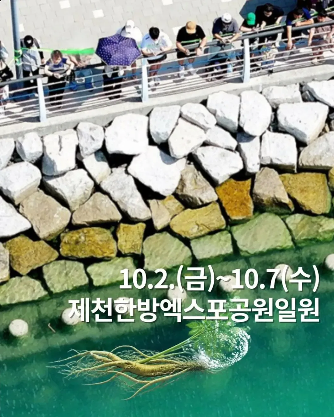 상어가 부러웠던 제천 (2/2)