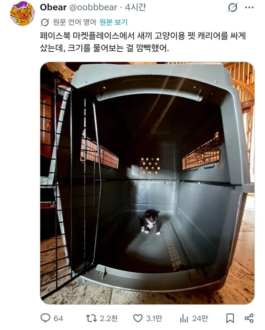 새끼 고양이용 팻 캐리어.jpg (2/3)