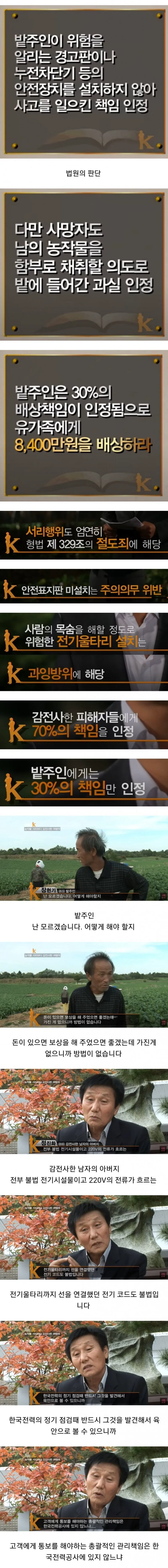 배추 서리로 인해 인생이 망가진 사람들 (3/3)