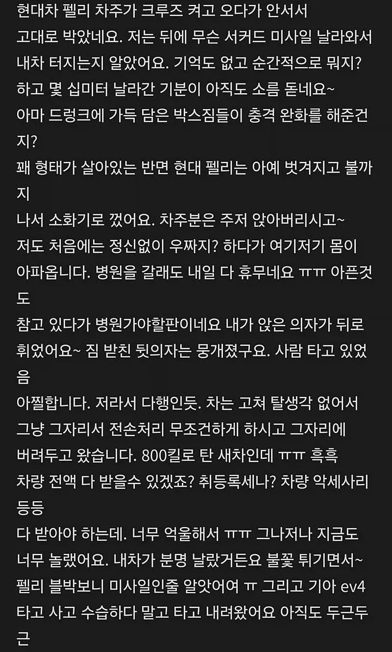 씨라이언 vs 펠리세이드 추돌 사고 (5/6)