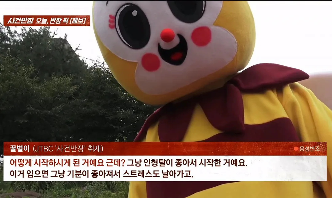 사건반장에 나온 꿀벌 복장 입는 이유 (영상 올렸어) (10/17)