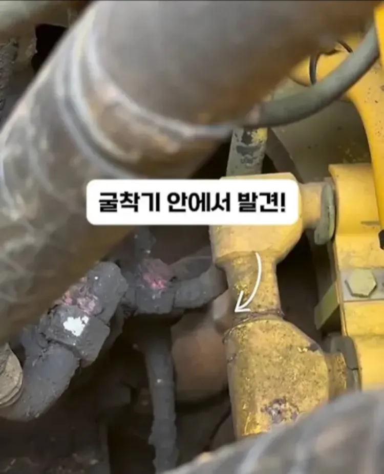 팀원이 된 고영이.jpg (3/7)