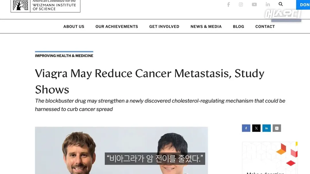 비아그라 항암효과 (5/10)