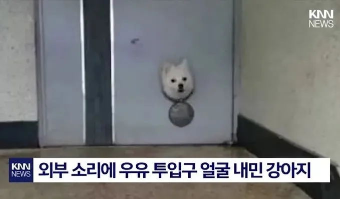 수도공사 했는 (19/19)