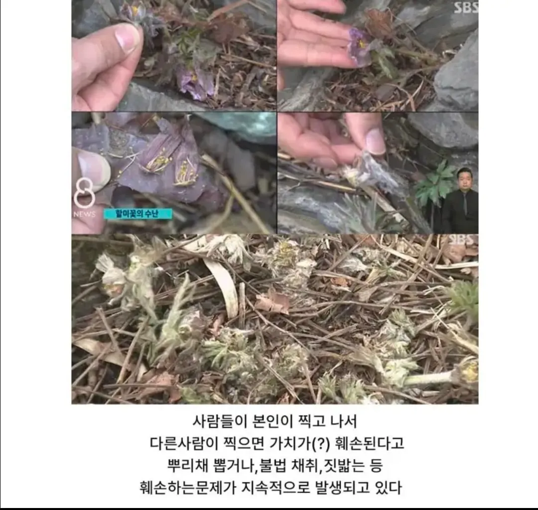 관광지에서 자주 보인다는 싸이코패스 (5/5)