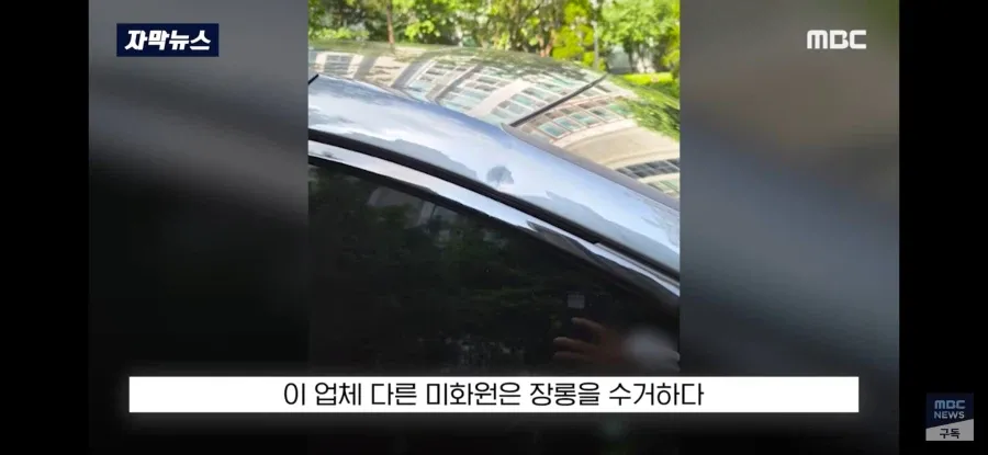 재물손괴 피해자가 가해자를 감싸준 사건 (1/9)