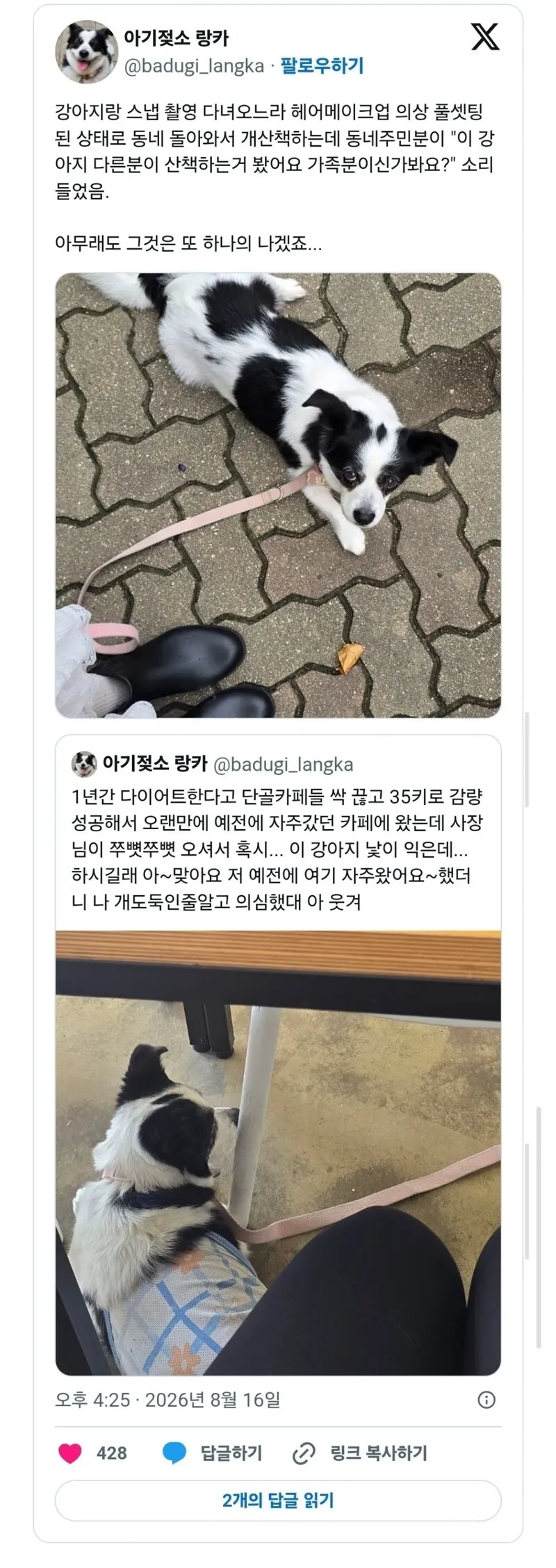 한껏 꾸미고 강아지 산책가면 생기는 일.jpg