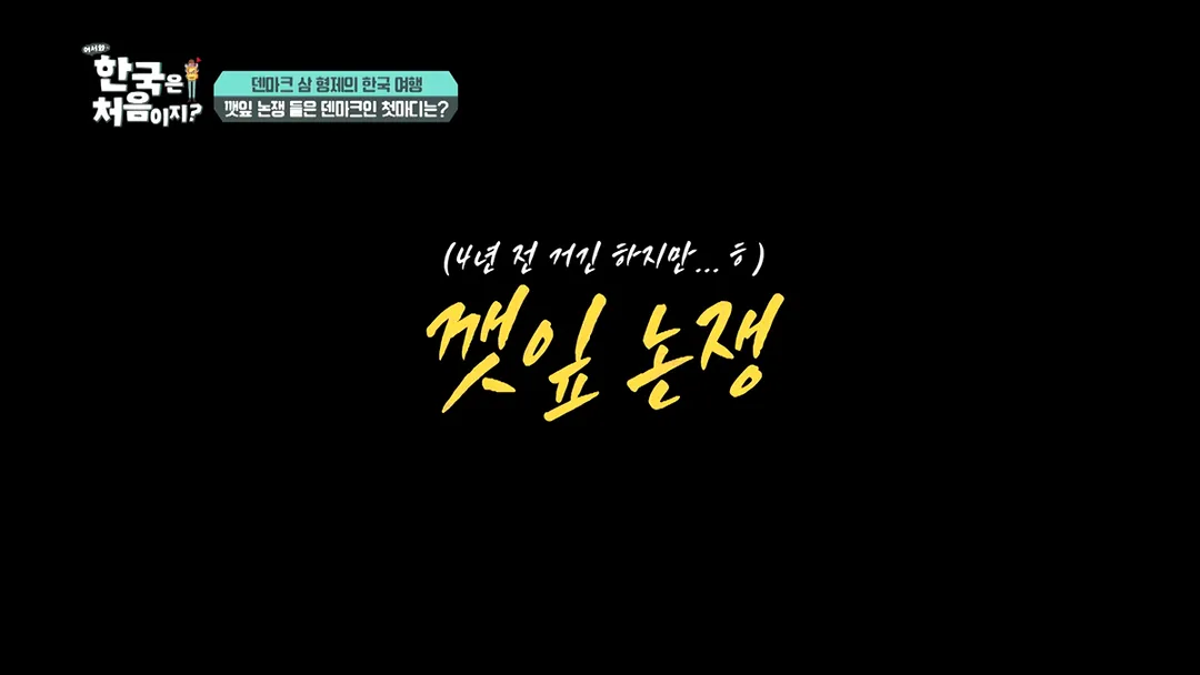 덴마크 사람이 느껴본 깻잎 논쟁 (9/20)
