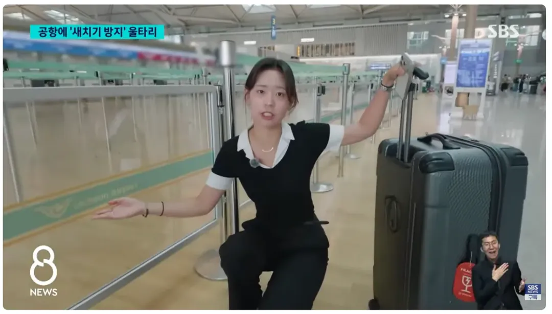 인천공항에 '새치기 방지' 울타리 설치 이후 근황 (4/6)