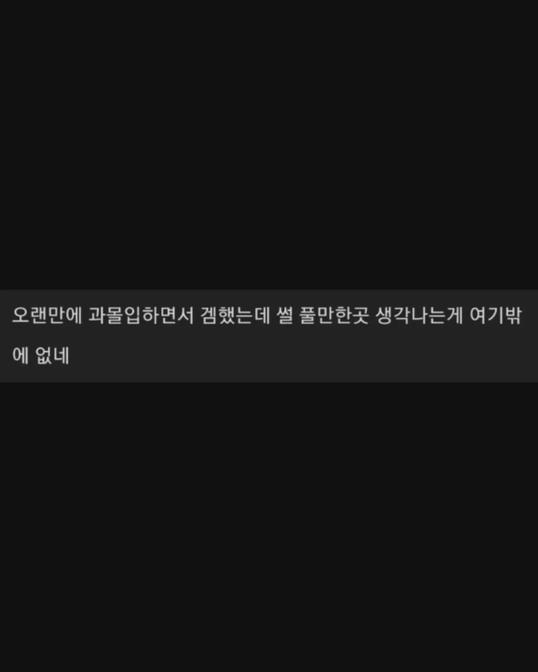 삼국지13에 과몰입한 유저.jpg (19/19)
