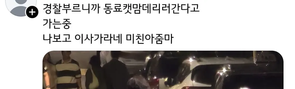 쓰레드에서 핫한 캣맘 퇴치기 (6/15)