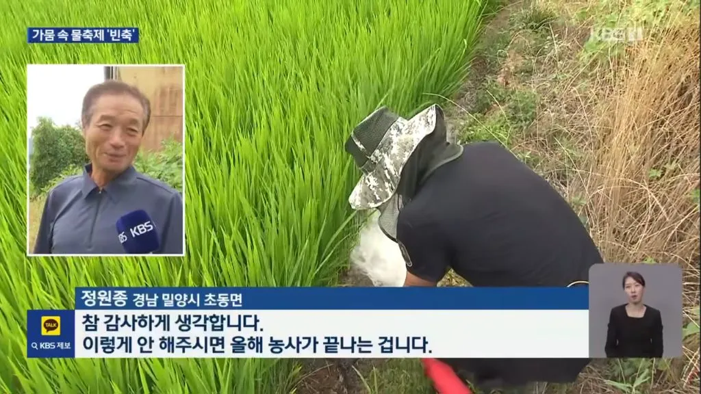 농촌은 가뭄인데 도시에서는 물놀이 (7/15)