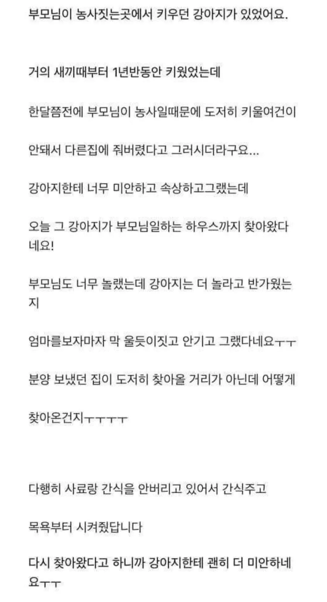 다른 집에 분양 보냈던 강아지가 집까지 찾아왔네요ㅜㅜ (2/6)
