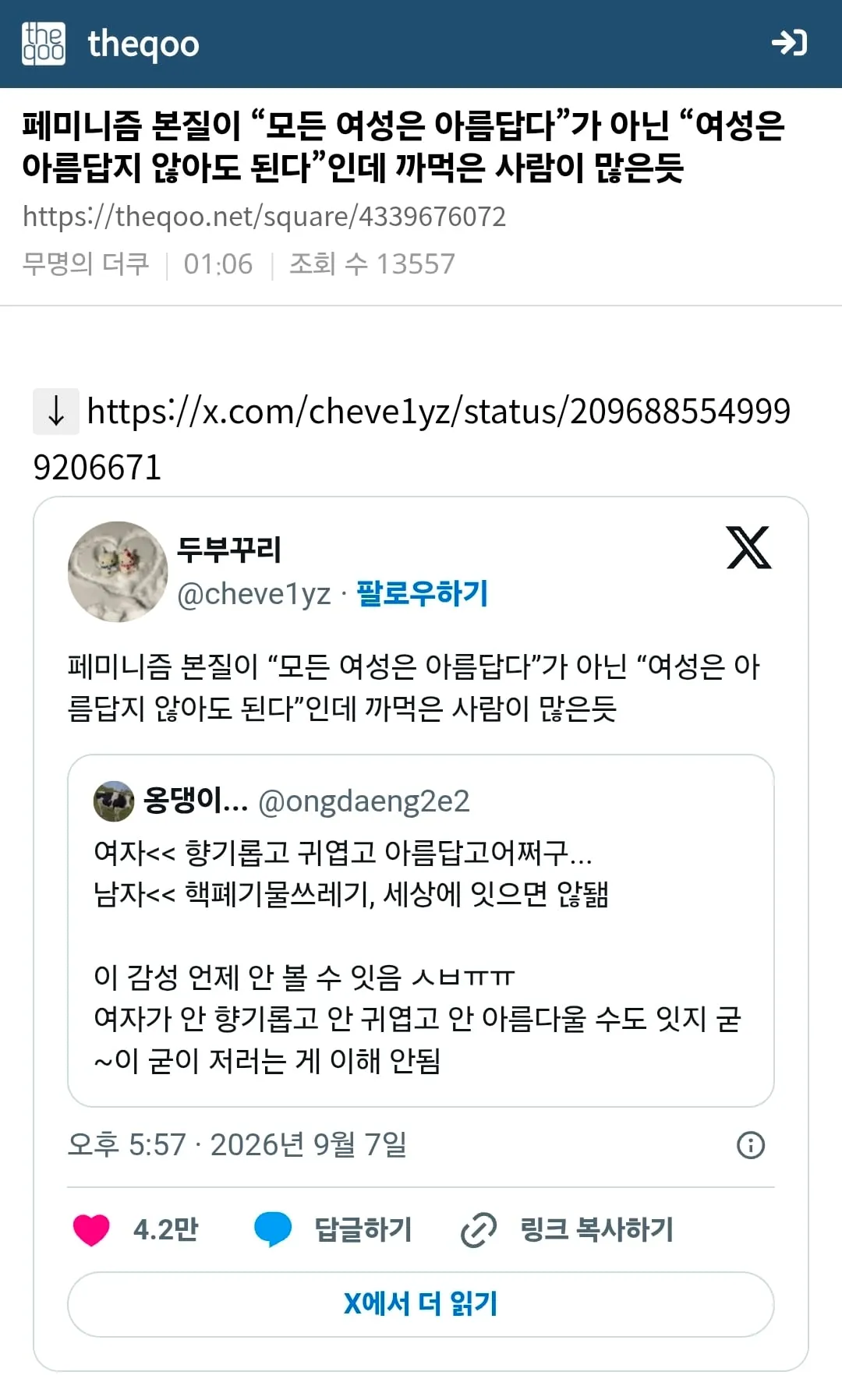 너 페미야?가 개 큰 칭찬인 이유 (5/7)