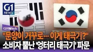 🫪심각한 수준을 넘어 기괴한 수준인 태극기 사태 (10/12)