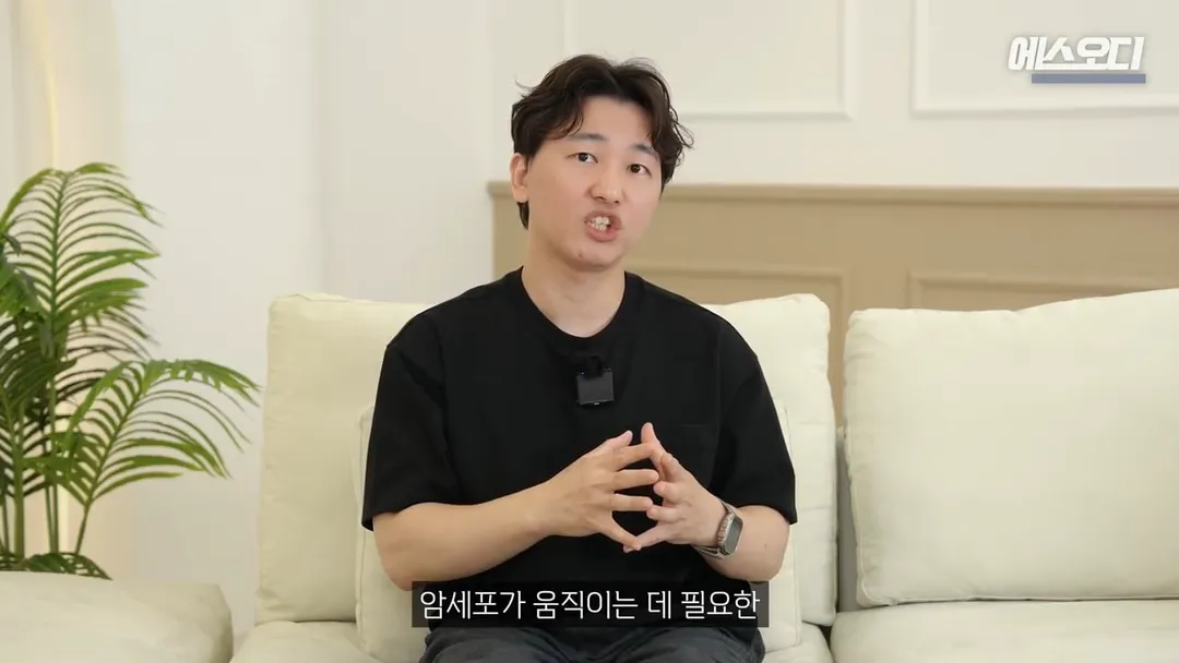 비아그라 항암효과 (6/10)