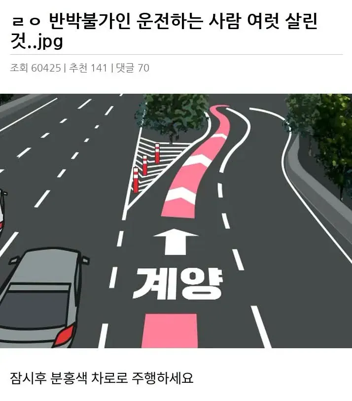 ㄹㅇ 반박불가인 운전하는 사람 여럿 살린 것 (1/2)