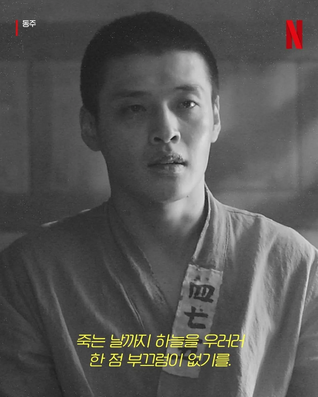 광복절 넷플릭스 코리아 근황 (4/8)