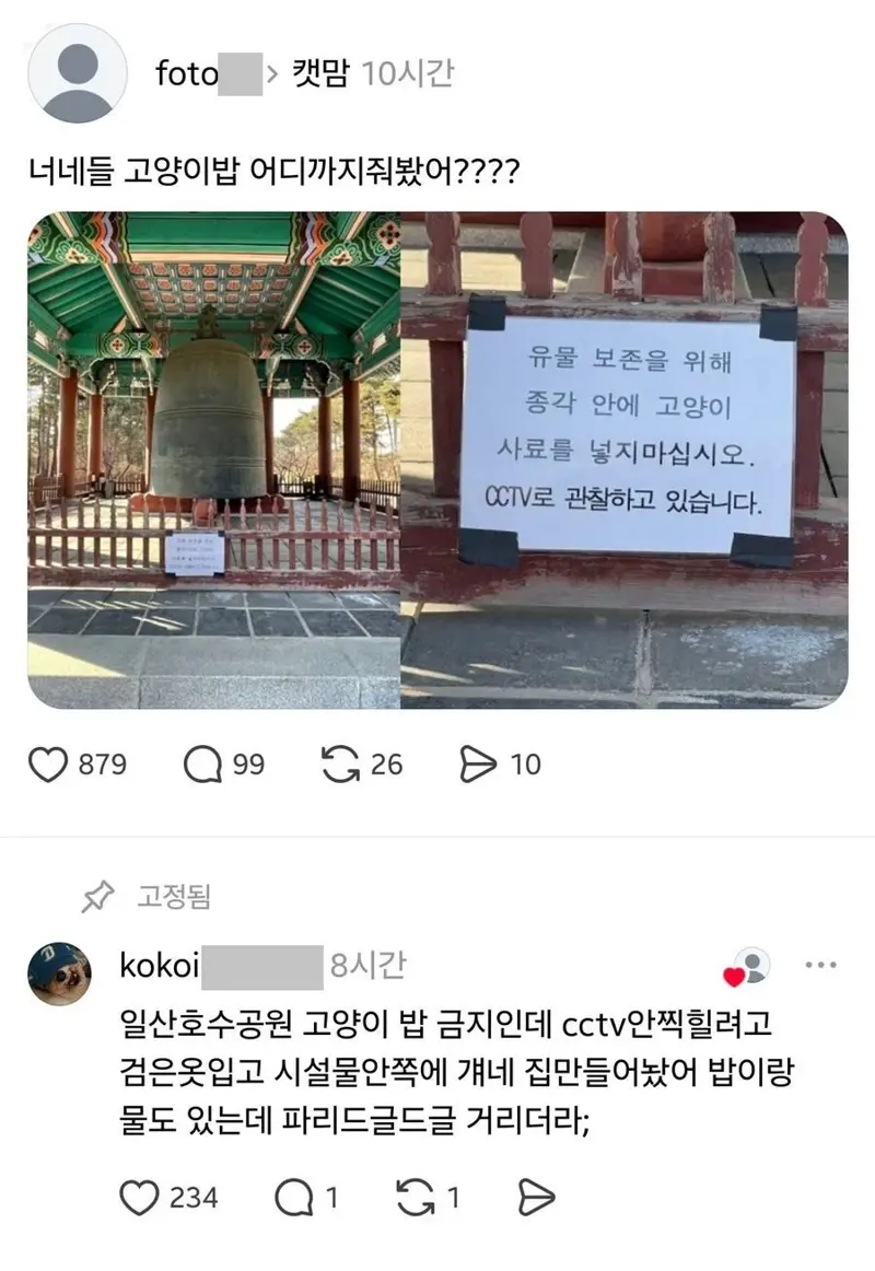 너네들 고양이밥 어디까지 줘봤어? (2/3)