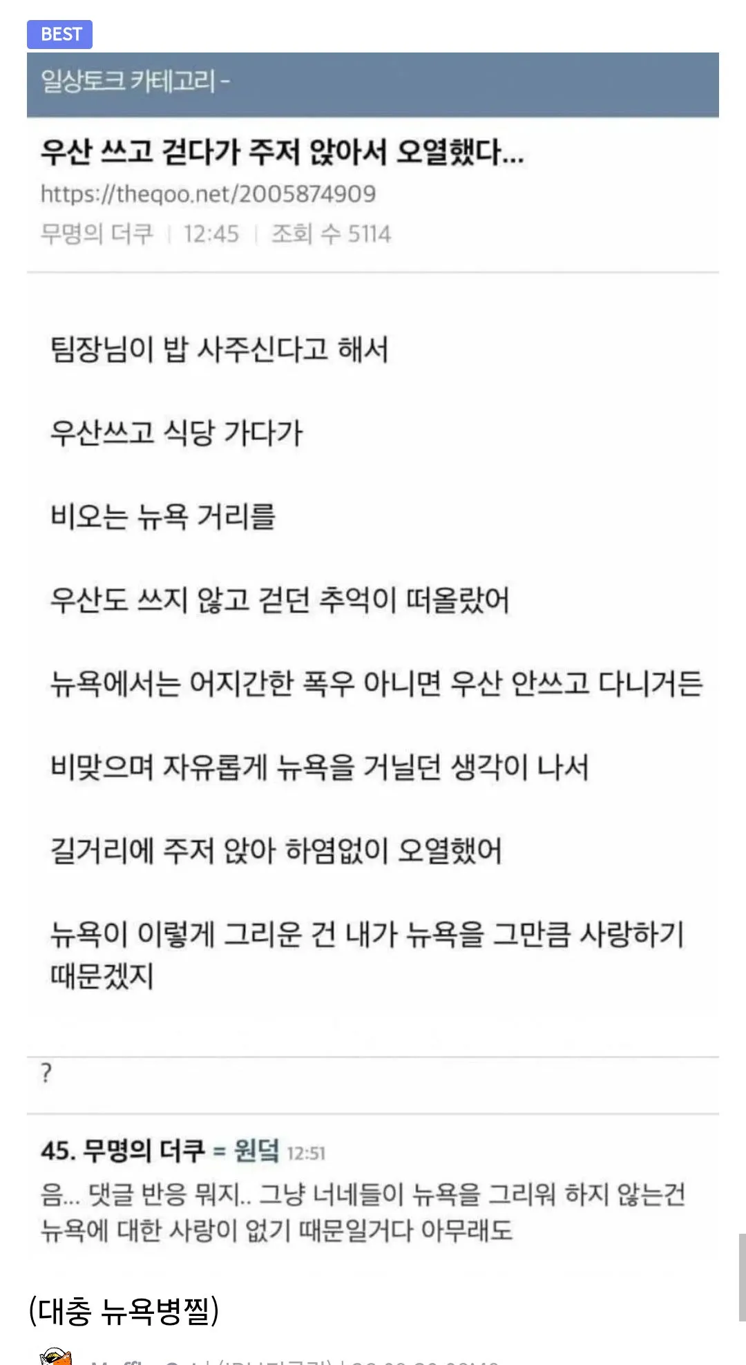 중국 젊은 여자들에게 주로 발병한다는 서울병 증상 요약 (3/4)