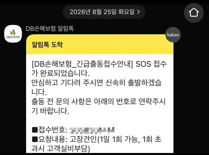 남산터널 웨딩 촬영 근황의 근황 (3/3)