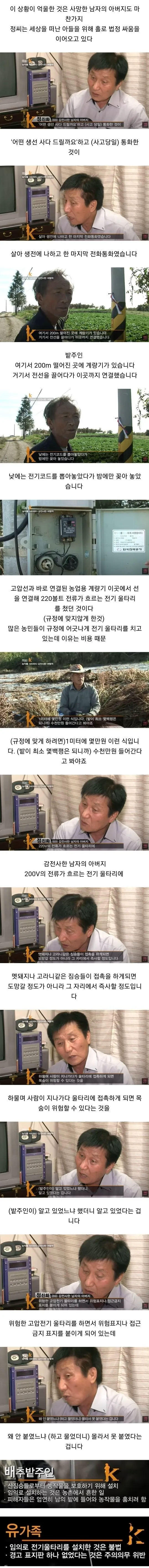 배추 서리로 인해 인생이 망가진 사람들 (2/3)