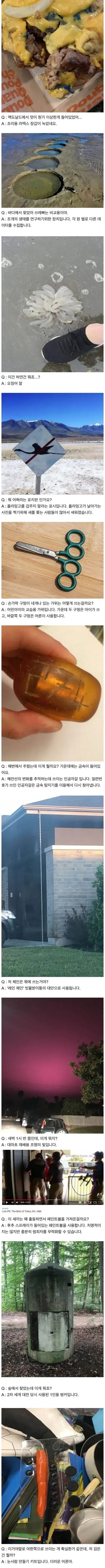 서양의 신기한 지식인 문답.jpg (2/2)