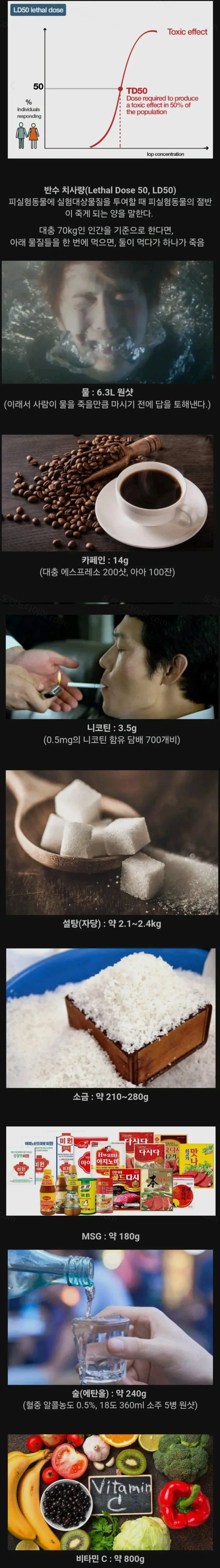 많이 먹으면 죽을수도 있다는 음식