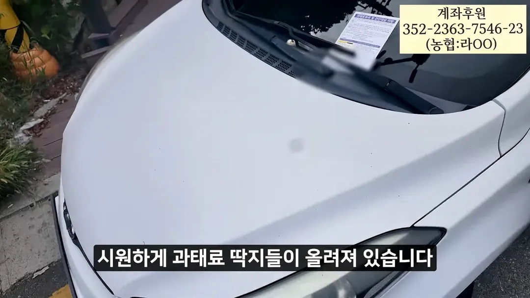 정상화되고 있다는 우이동 계곡 (19/20)