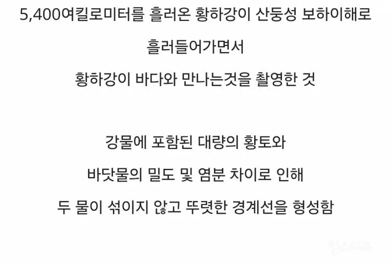섞이지 않는 황하강과 바다.gif (6/6)