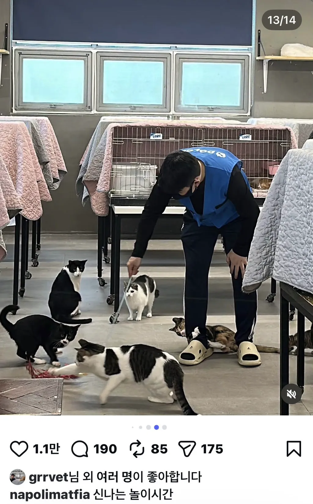오늘자 나폴리맛피아 권성준 인스타그램 업로드 (7/11)