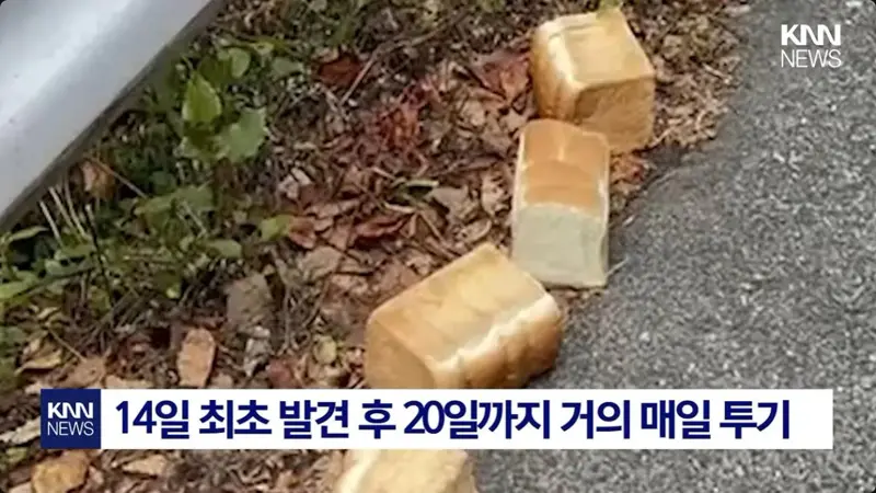 일본에서 난리난 기습 곰맘 시위 (3/7)