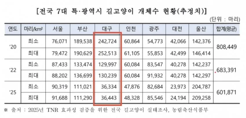 대구 고양이들에게 대체 무슨 일이? ㄷㄷㄷ (6/6)