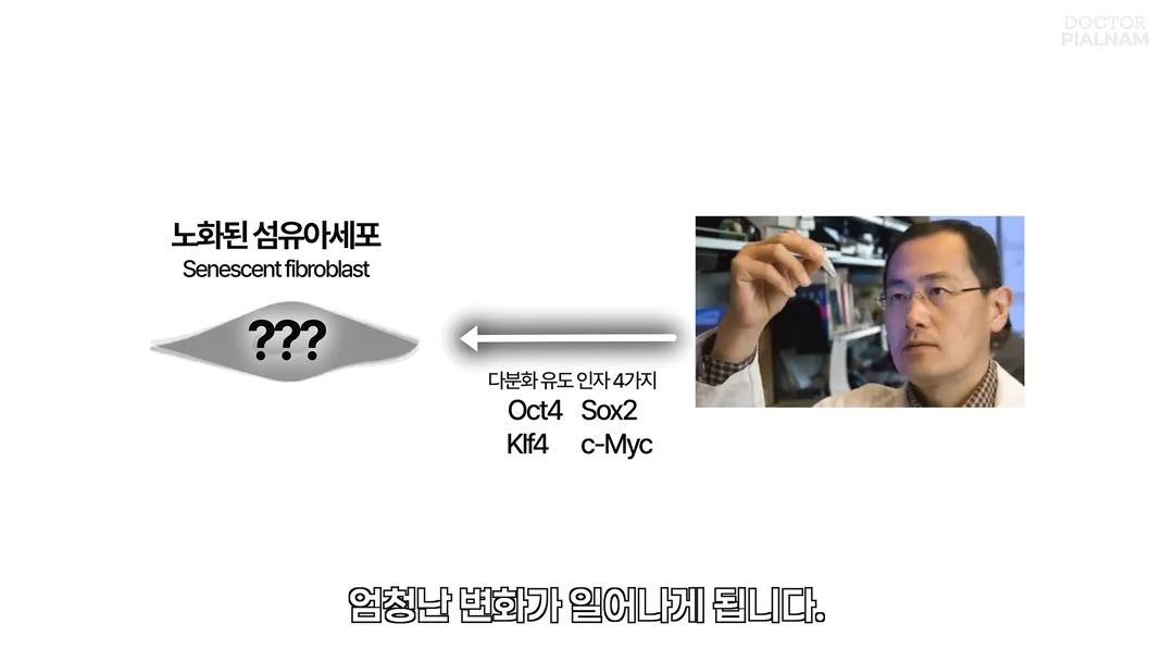 53세 피부를 23세 피부로 돌리는데 성공함 - 英연구팀 (11/14)